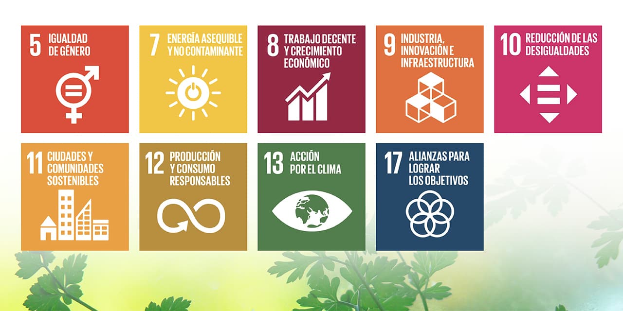Contribución a los Objetivos de Desarrollo Sostenible (ODS)